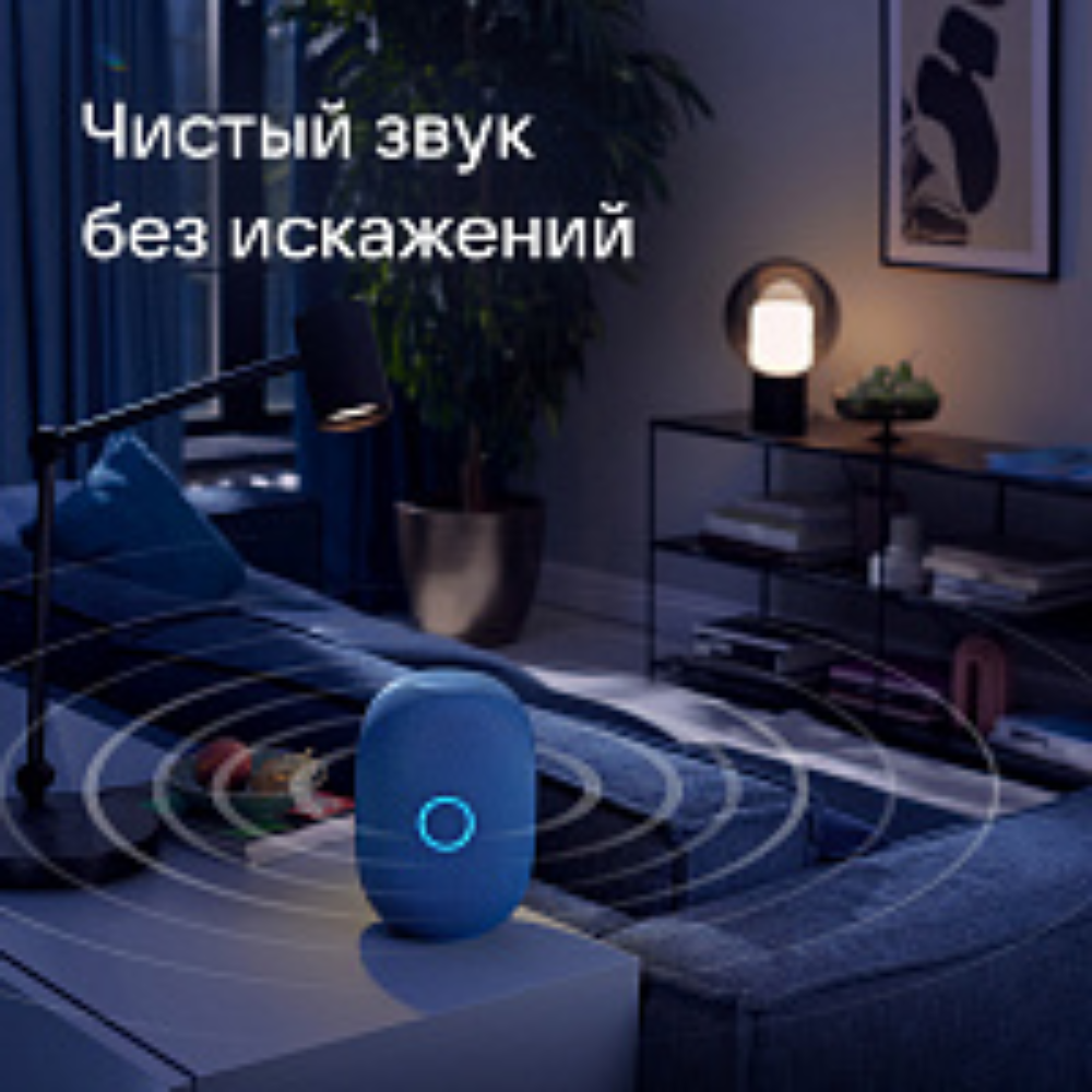 Умная колонка VK Капсула с голосовым помощником Маруся синяя: купить по ...