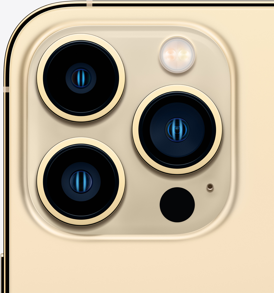 Смартфон Apple iPhone 13 Pro Max 256Gb Золотой «Отличное состояние ...
