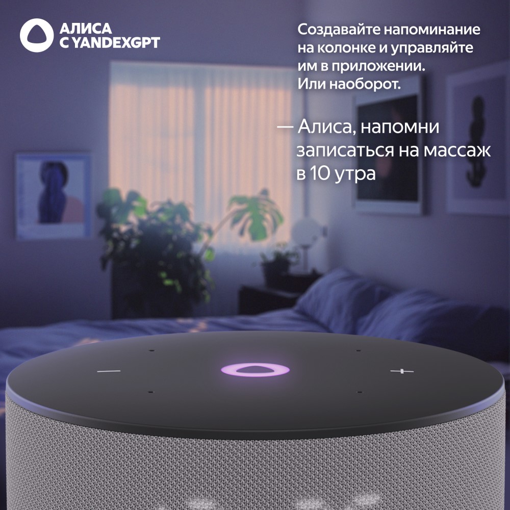 Умная колонка Яндекс Станция Мини 3 с часами 2024 Серый: купить по цене ...