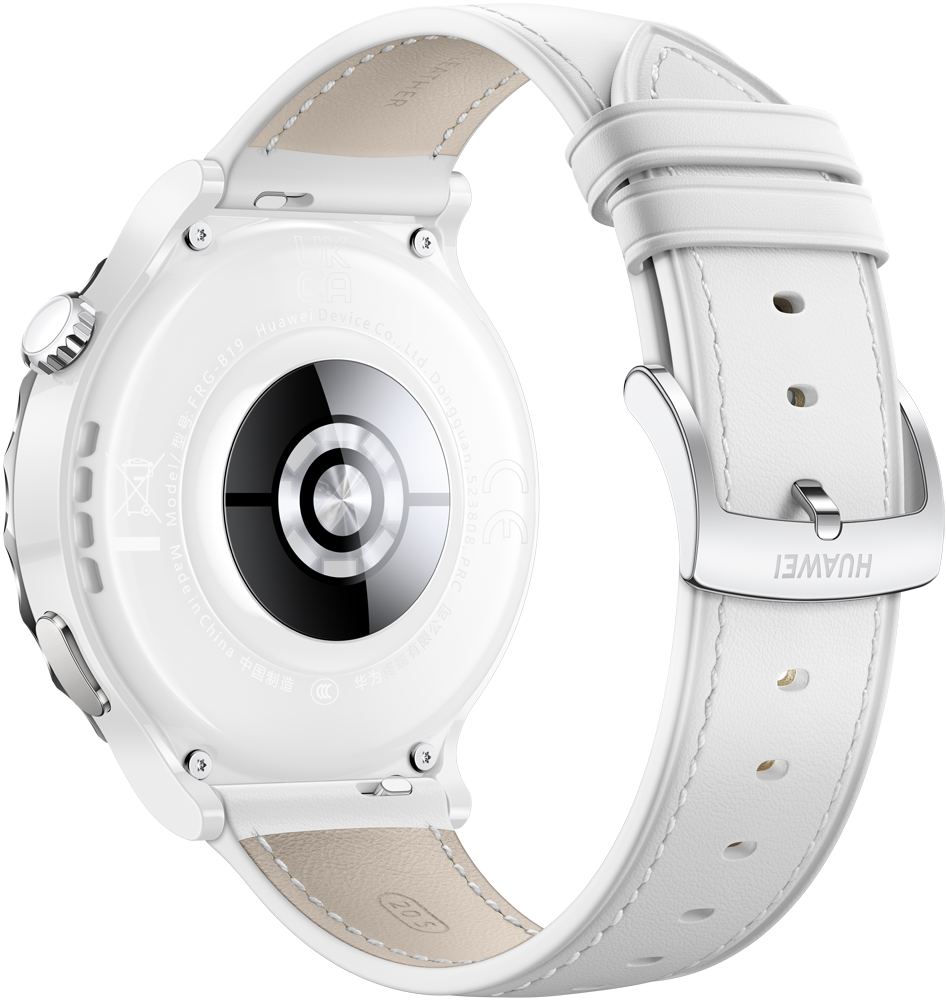 HUAWEI Watch GT 3 Pro Frg B19V