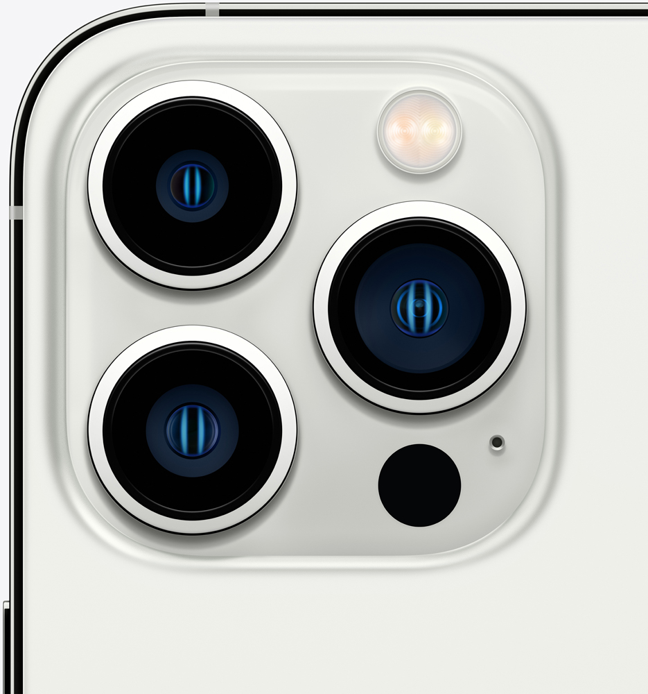 Смартфон Apple iPhone 13 Pro Max 256Gb Серебристый: купить по выгодной ...