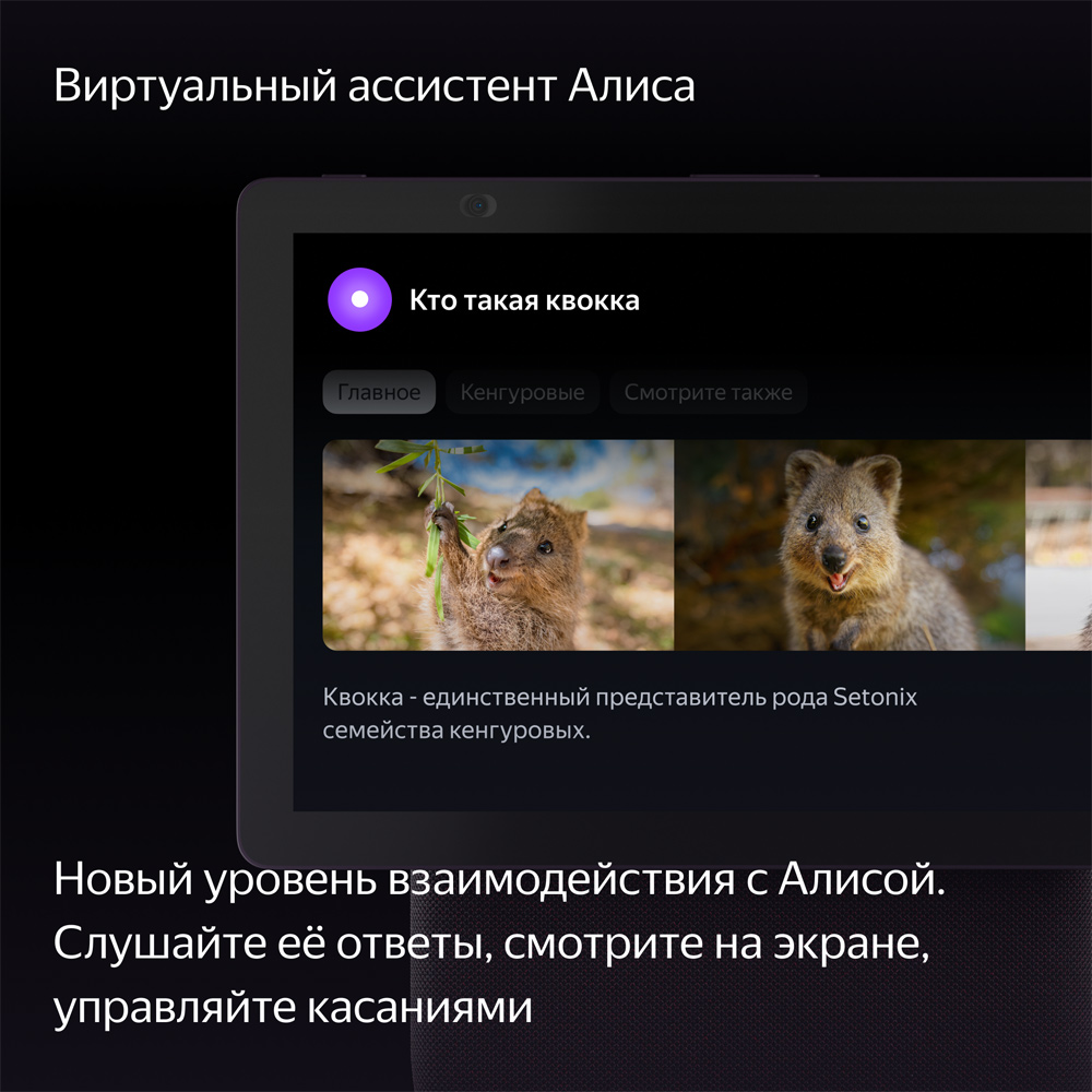 Умная колонка Яндекс Станция Дуо Макс с Zigbee Красная: купить по цене ...