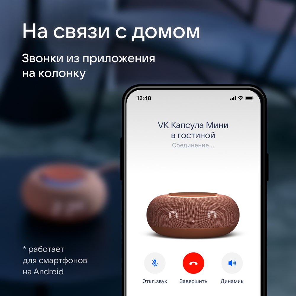 Умная колонка VK Капсула Мини с голосовым помощником Марусей, Терракотовая:  технические характеристики и описание – Интернет – магазин МТС