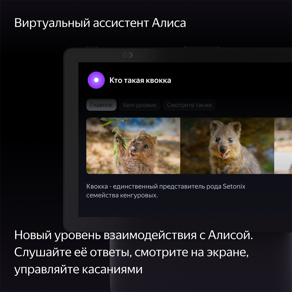 Умная колонка Яндекс Станция Дуо Макс с Zigbee Черная: купить по цене ...