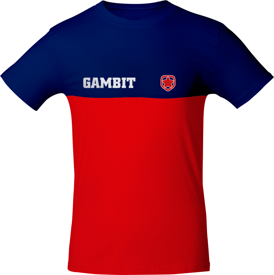 Футболка Gambit Esports Red/Blue M: купить по цене 390 рублей в интернет  магазине МТС